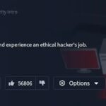 TryHackMe – Pembahasan Offensive Security Intro
