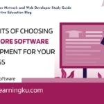 7 Benefits of Choosing Nearshore Software Development for Your Business